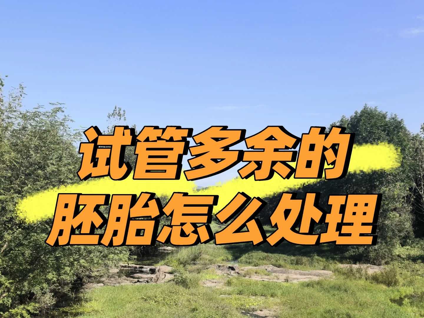 试管胚胎移植费用明细解读，让你不再迷茫！